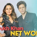 Shah Rukh Khan's net worth